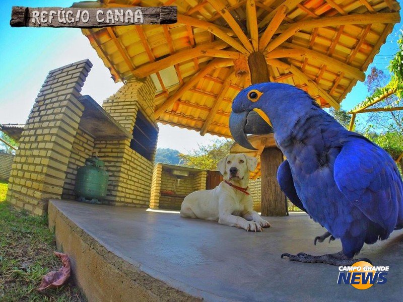 Refúgio Canaã